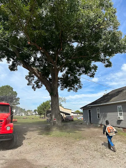 American Arborists