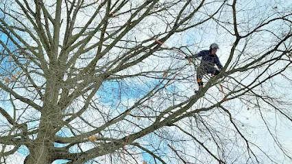 Arborist Solutions