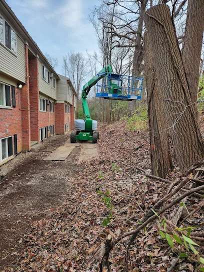 ArborMac Tree Service