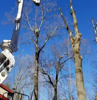 Artistic Touch Tree Service