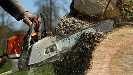 Bark Buster Tree Service