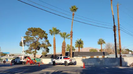 Beaver Brothers Tree Service LLC