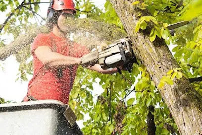 Big Ben's Tree Service, Inc