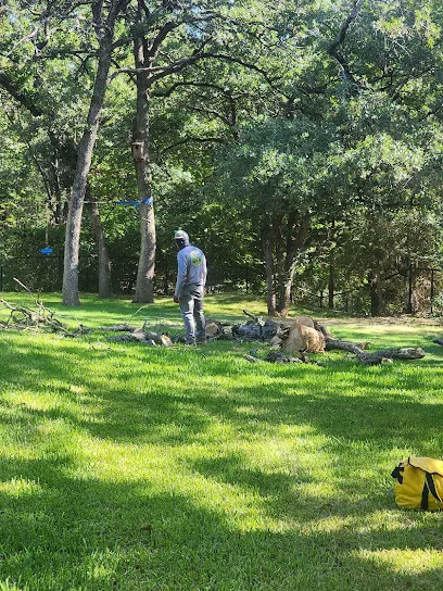 Burris Tree Service