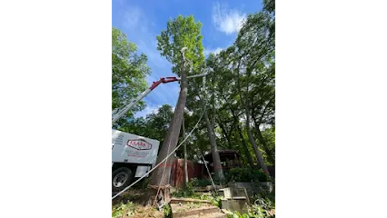 Clark's Tree Express