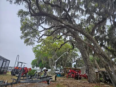 Crown Top Tree & Land Service LLC