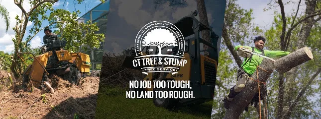 CT Tree & Stump