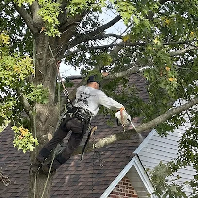 Cut And Chip Tree Service