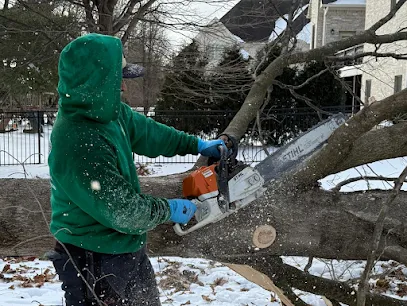 DC Tree Services LLC