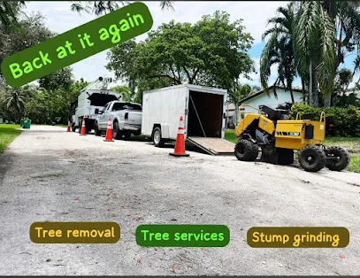 DeJesus Stump Removal