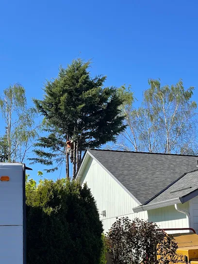 E&S Tree Service