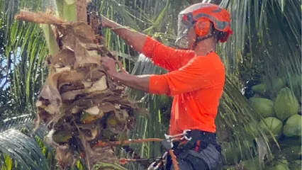 El Chino Tree Services