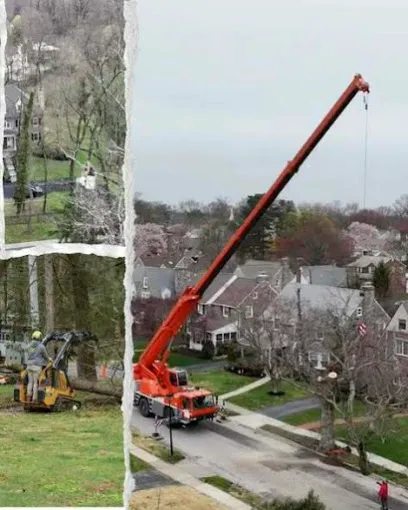 Executive Tree Care