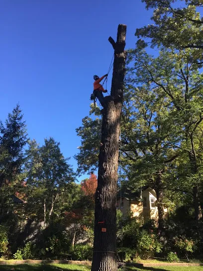 Felmar Tree Service Inc