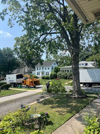Flynn Tree Services