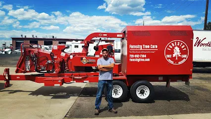 Forestry Tree Care