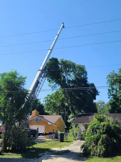 Forrest Stump Tree Service