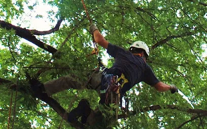 Four Season Tree Service