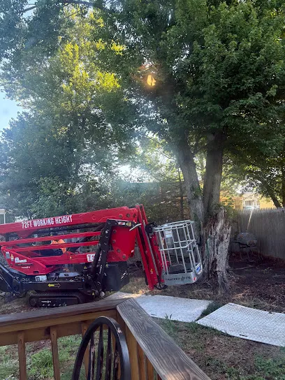 Franco's Tree Service