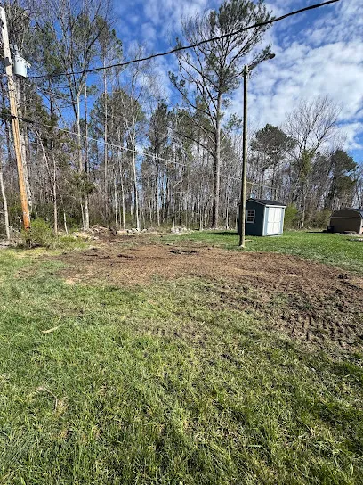 Grind and Gone Stump Grinding