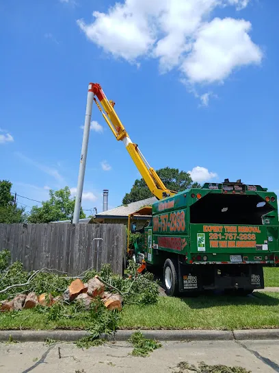 GULF COAST TREE REMOVAL - ISA Certified Arborist