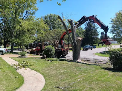 Hanneke Tree Service