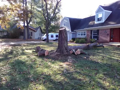 J.J's Tree Service