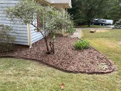 JayBird Tree Service, LLC