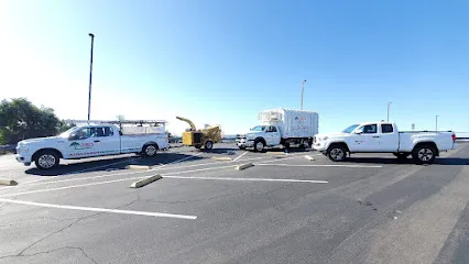 Joel's Tree Service