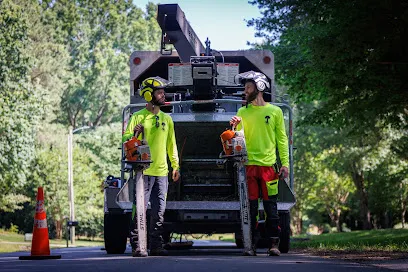 Justin’s Tree Service