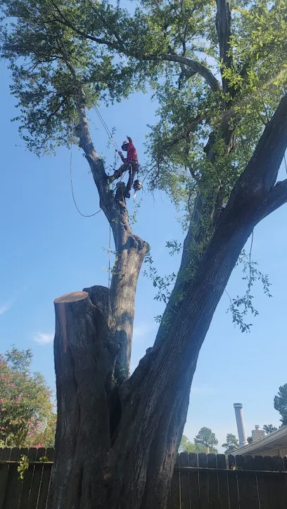 K&R TREE SERVICE PROS