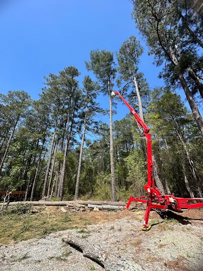 Kenny's Tree Removal