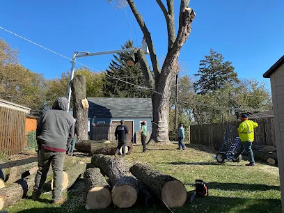 La Brothers Tree Service