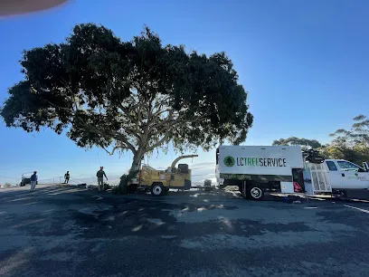 LC Tree Service