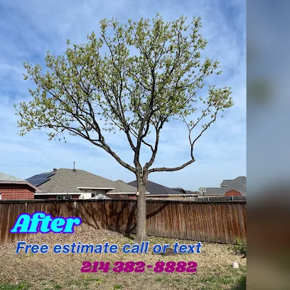 Leo Tree Care