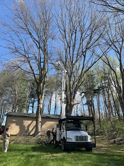 M & E Tree Services