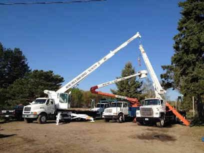 Metro Tree And Crane