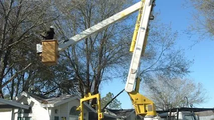 Mid-Florida Tree Service, Inc.
