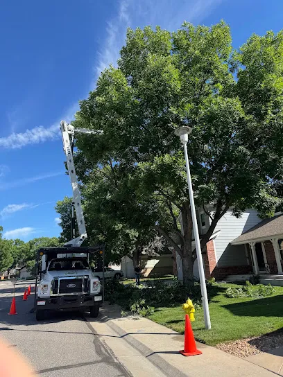 Monster Tree Service of North Metro Denver