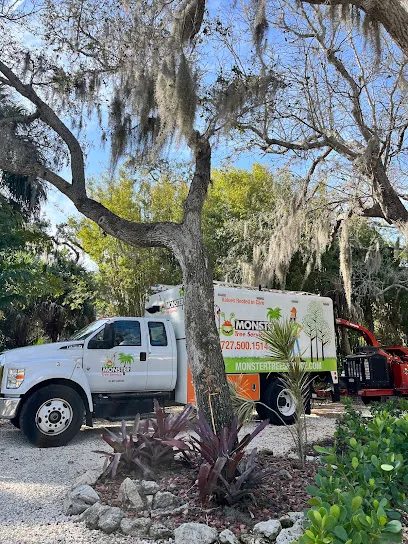 Monster Tree Service of Pinellas County