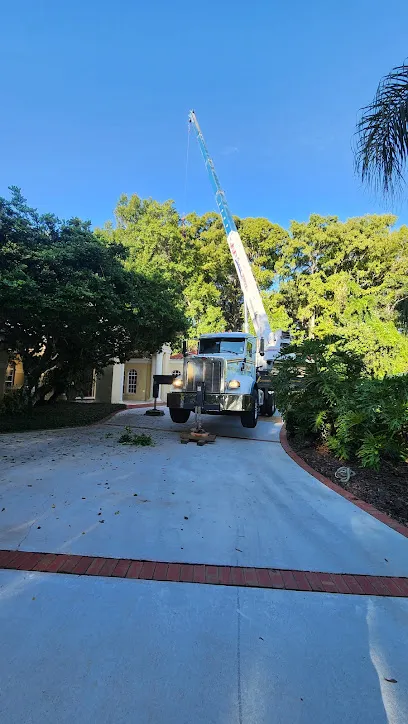 Oakleaf Tree Services LLC