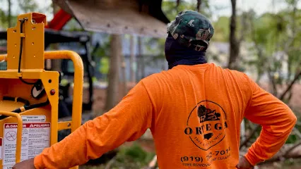 Ortega Tree & Land Clearing