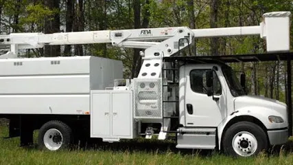 Precision Tree Service
