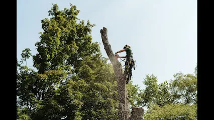 Rooted Tree Care LLC