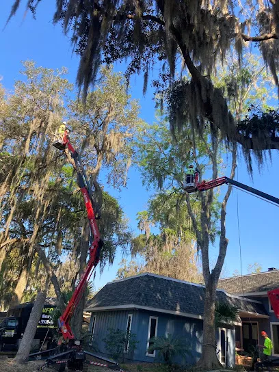 Sanford's Tree Service Inc.