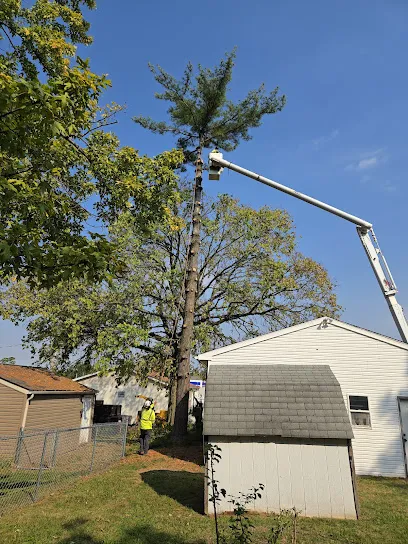 Santana Jr Tree Service LLC