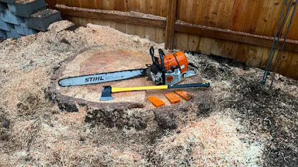 Sno King Stump Grinding