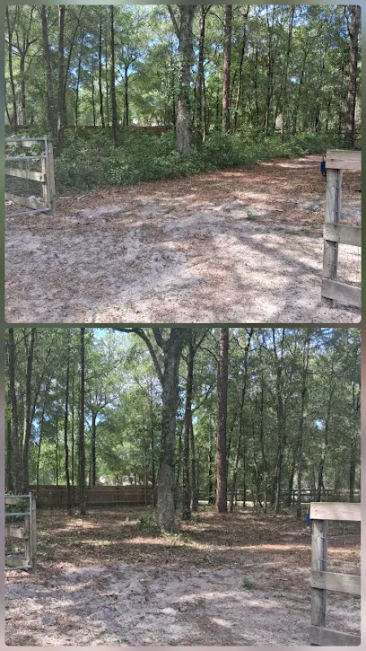 Southern Roots Tree Service