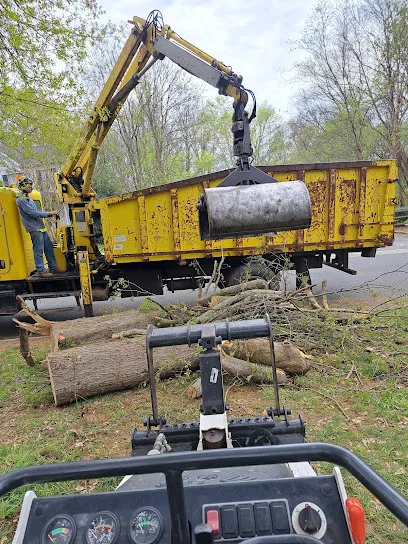 spaulding tree service