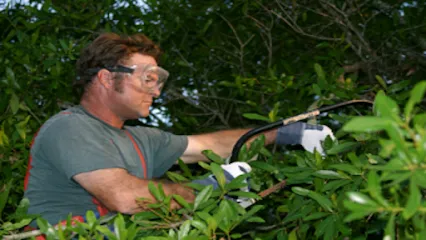 Tony's Tree Service